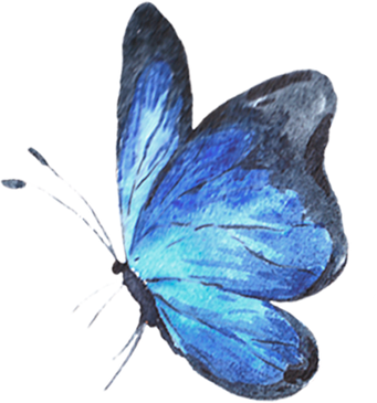 Watercolor blue butterfly