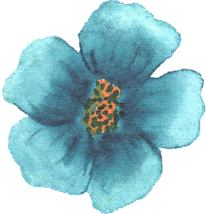 Watercolor Flower Illustration